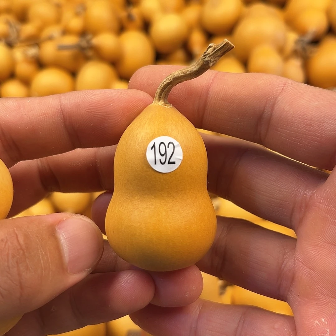 五葫芦葫芦葫芦葫芦192