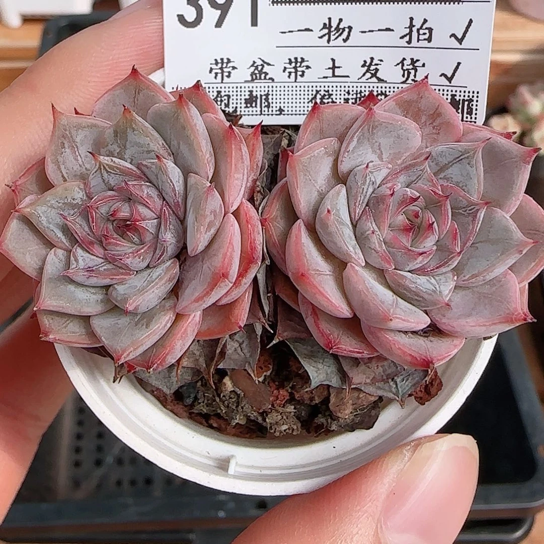 1107----391福利福利