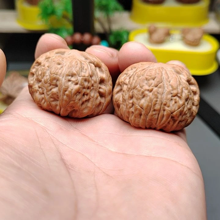 把件文玩核桃金蝉子