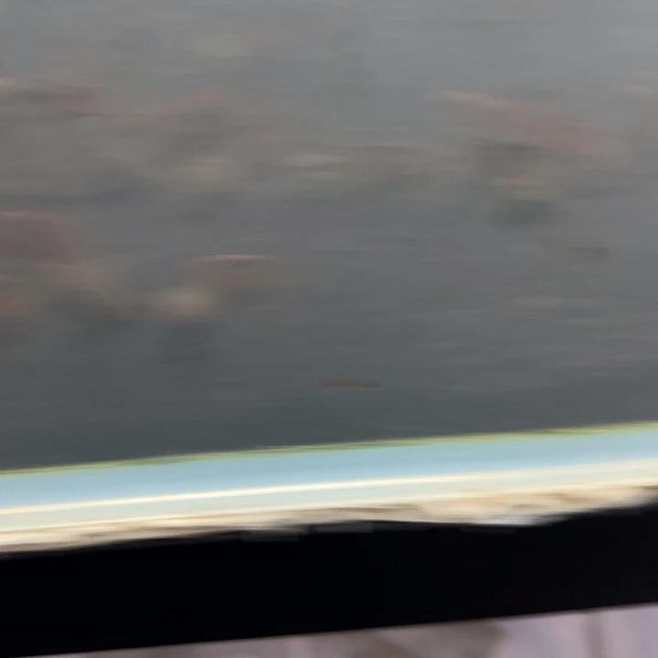 雷龙林巴塔雷龙11111