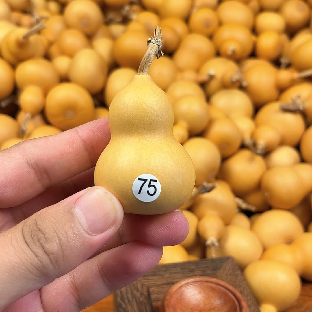 一葫芦葫芦葫芦葫芦75