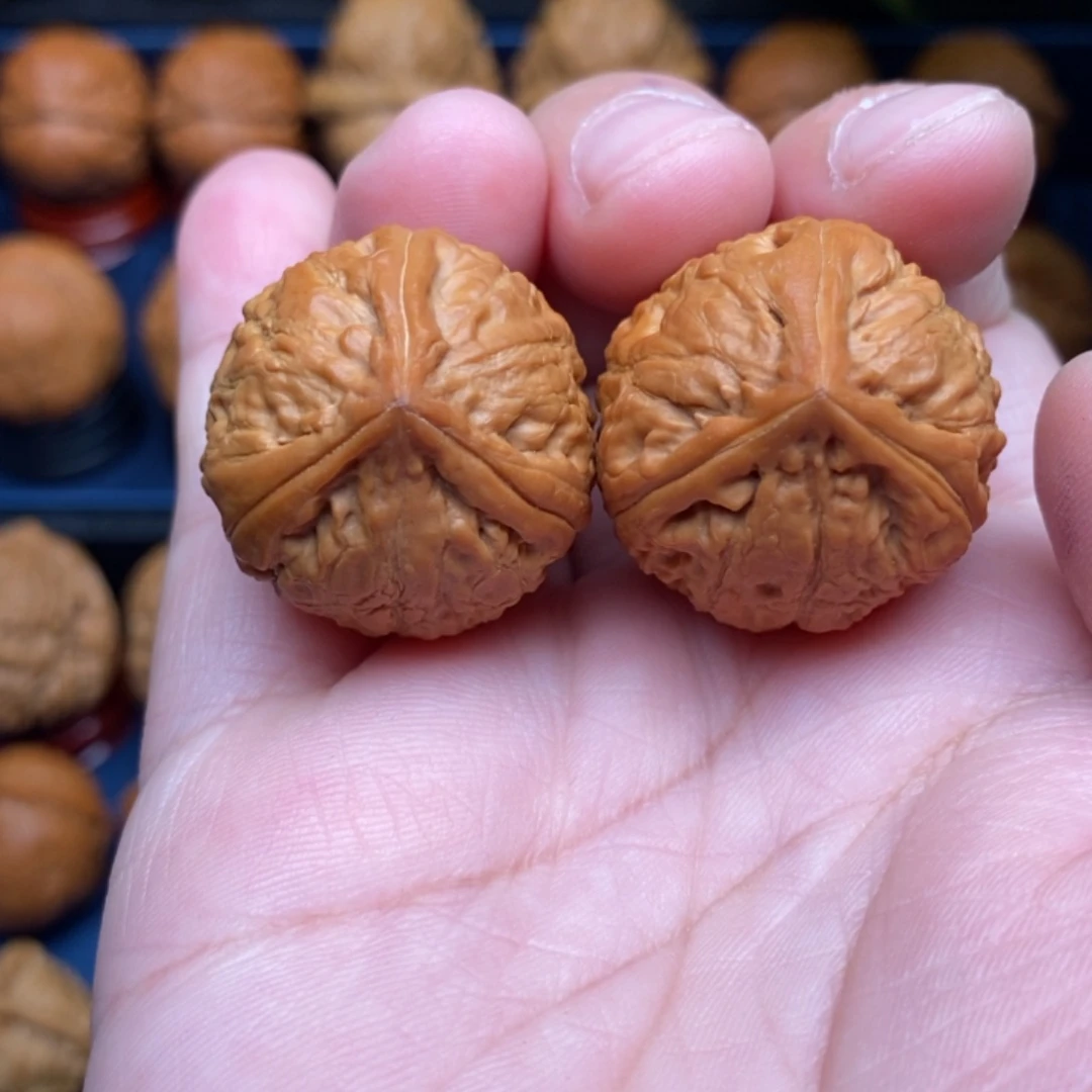 文玩核桃把件手捻正奔