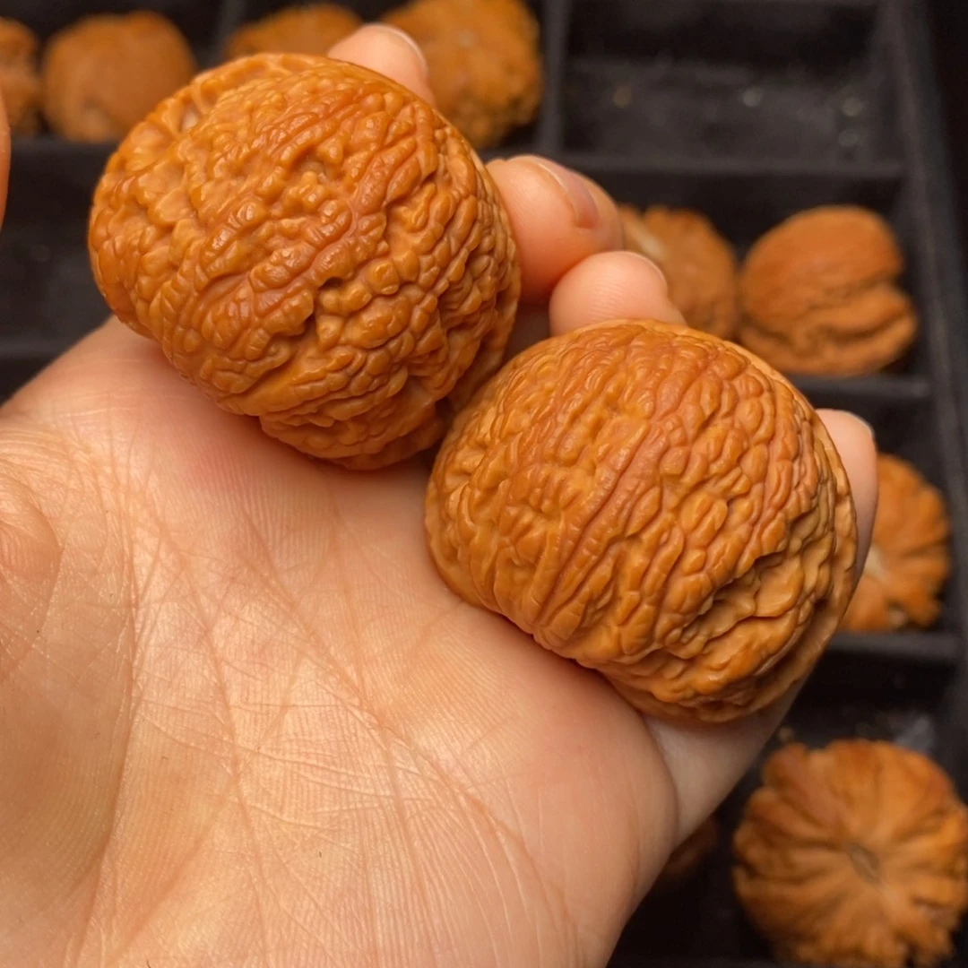 秦岭野生文玩核桃