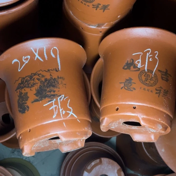 紫砂紫砂紫砂紫砂