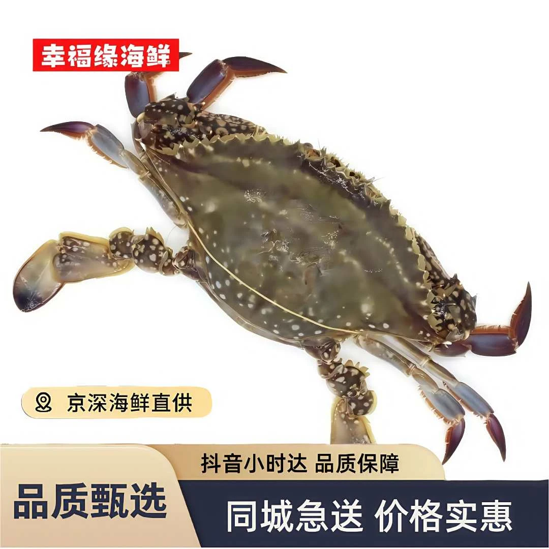 大个吃肉梭子蟹5-7两/只（多斤数可选）【保鲜不保活】梭子蟹同城