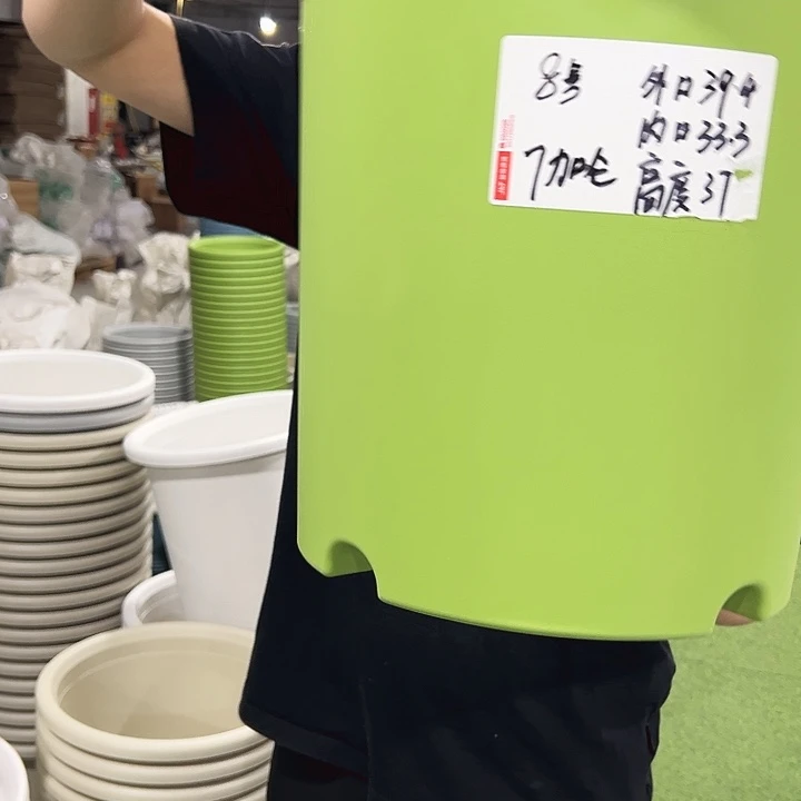 特价8号口39高37果绿色3只无托