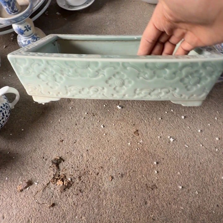 陈***东景德镇的陶瓷瓷器