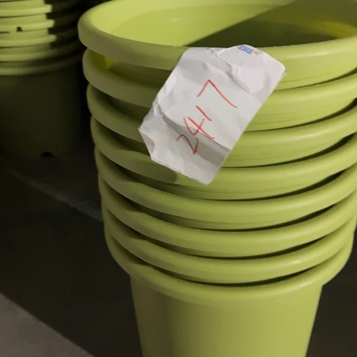 编号2417口32无托8个