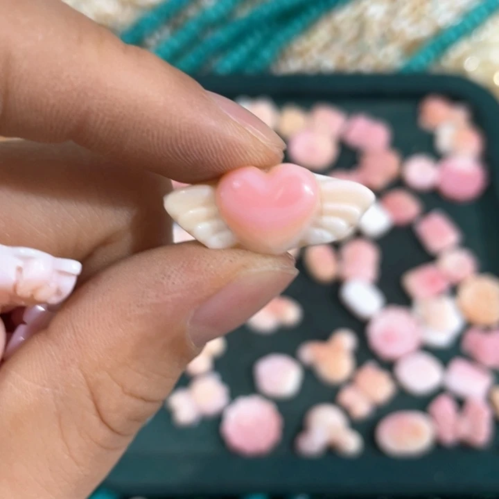 余***余贝壳非金属5号女皇贝