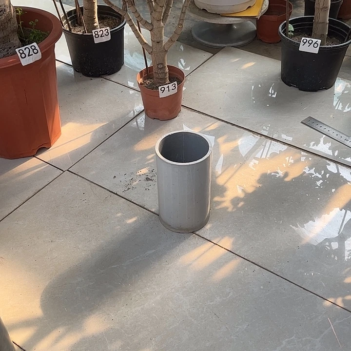 2颗花月老桩补差价