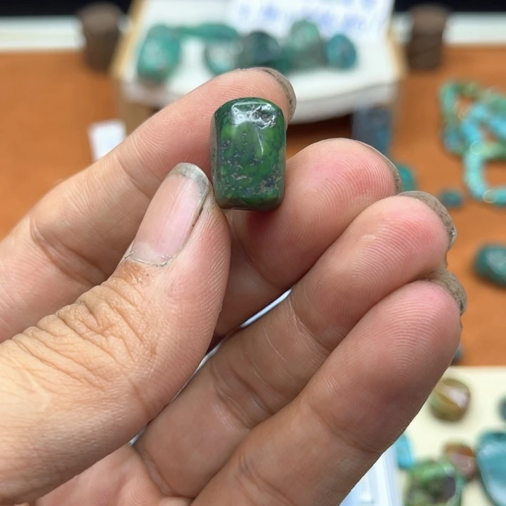贝***亚绿松石未镶嵌颈饰