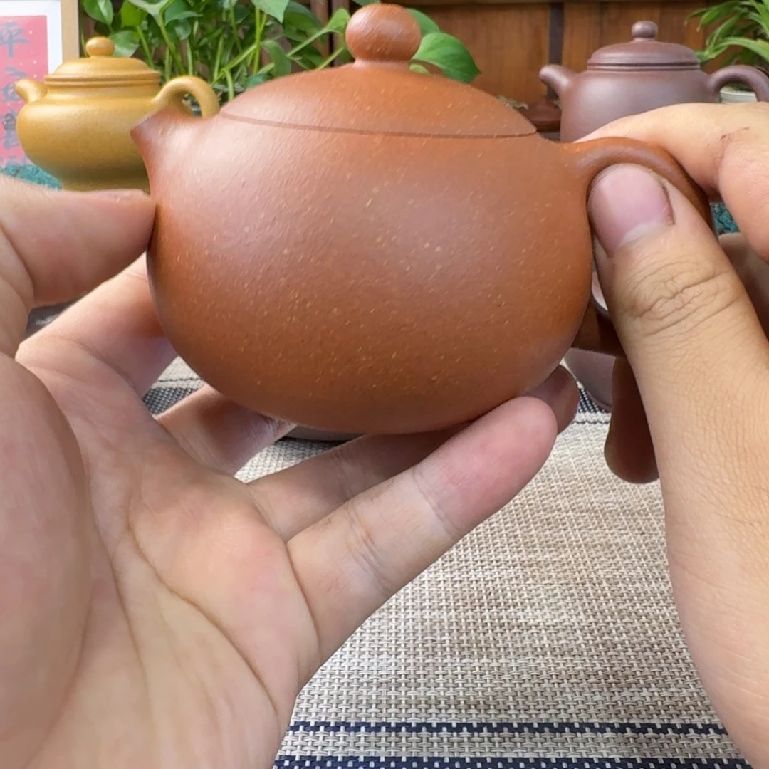 茶壶紫砂44555455554