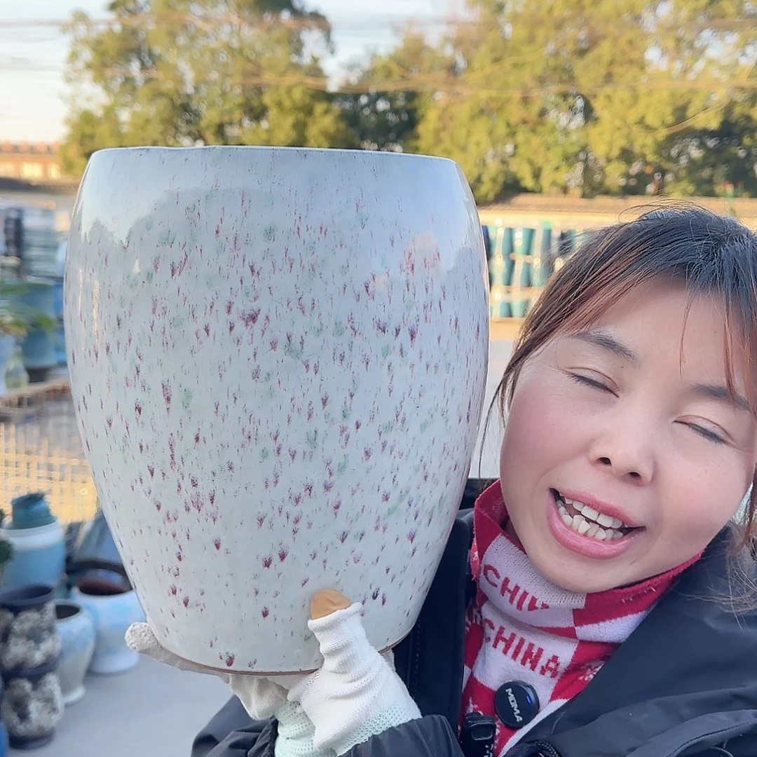 王嫂花盆1119-164高28口20