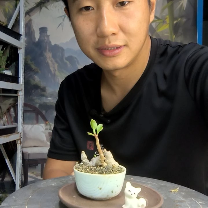 Y****a中青园艺一物一拍219