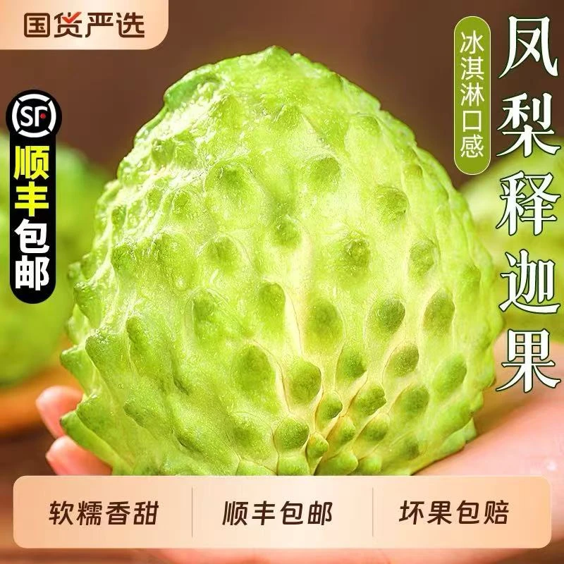 大目释迦果5斤大果新鲜农产品 现摘番荔枝牛奶释迦摩尼果