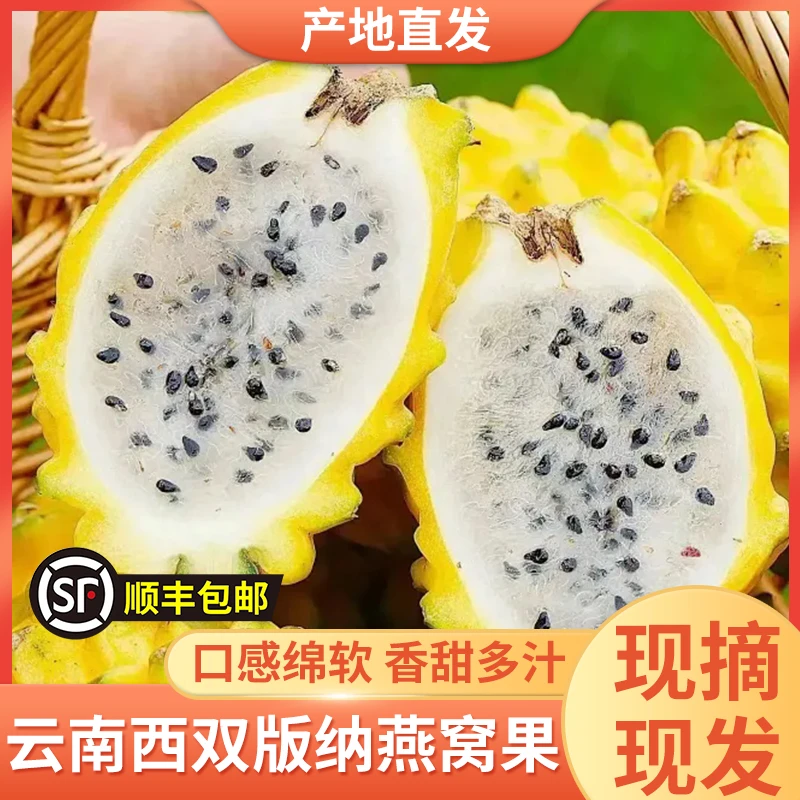 【顺丰商超品质】云南西双版纳燕窝果麒麟果黄色火龙果孕妇新鲜采摘