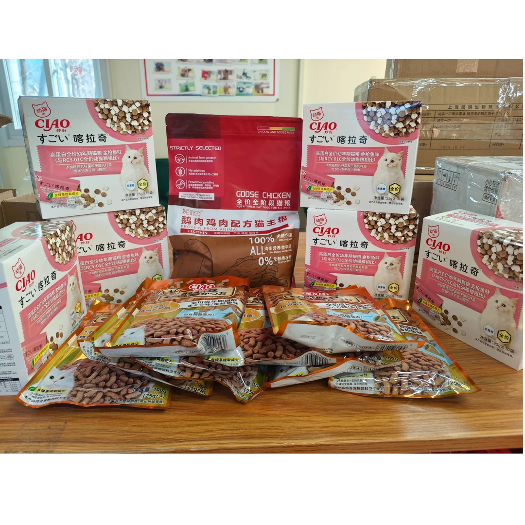 流浪猫猫爱心大礼包