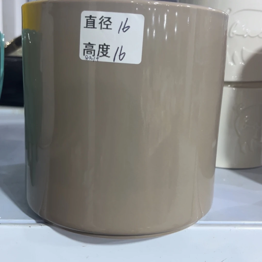 多肉植物花盆植物