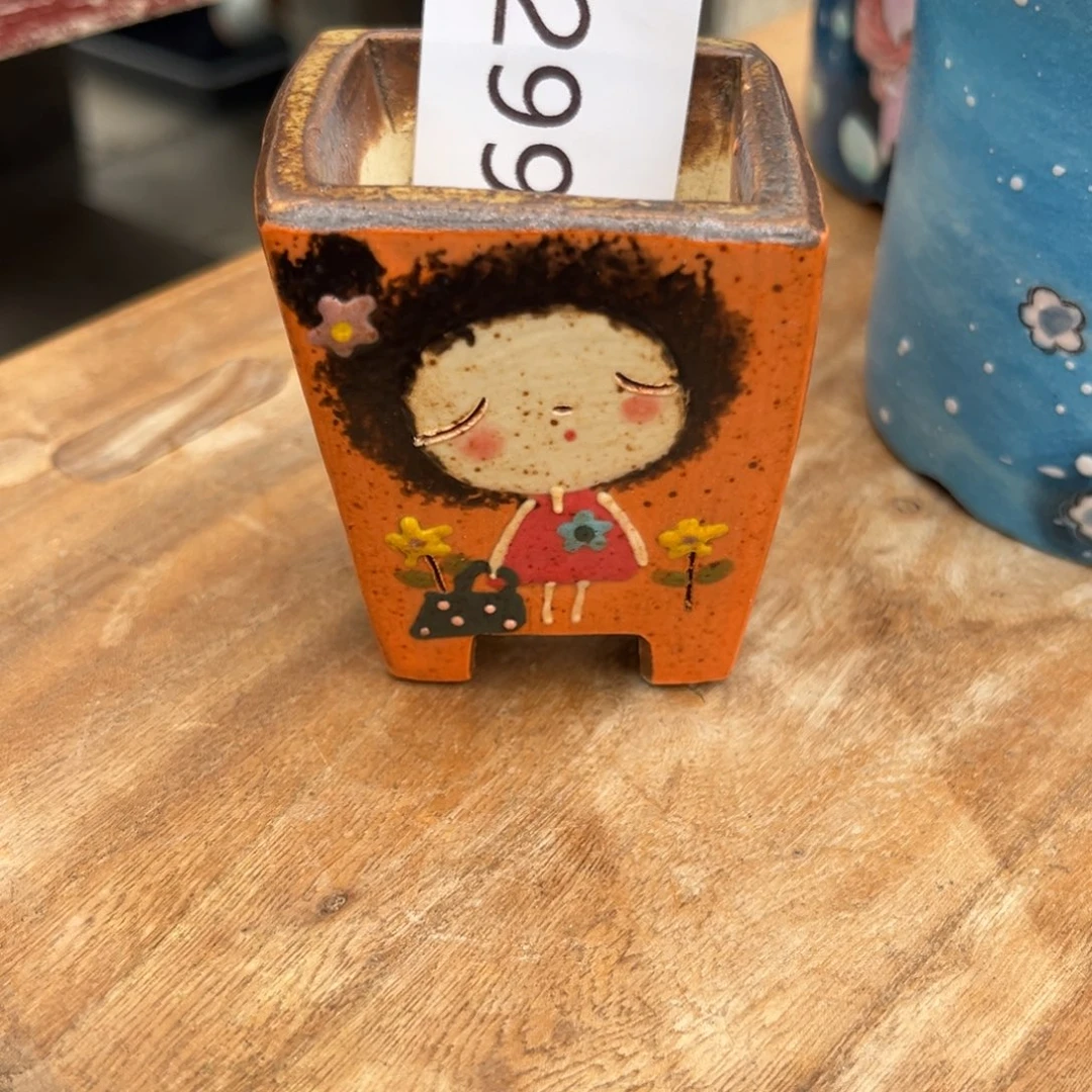 蕾***299多肉花盆   1个