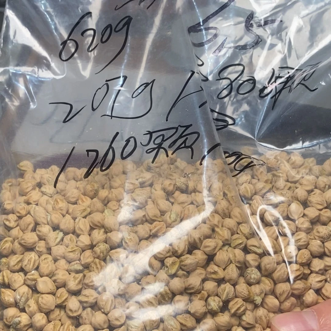 柏香籽/百香籽吊坠