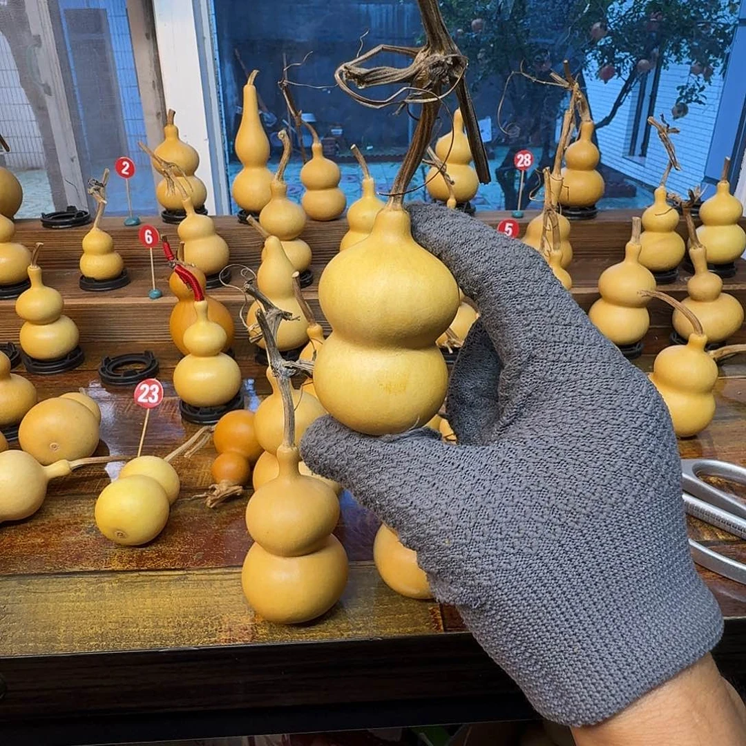 ****巴恭喜发财纯天然葫芦