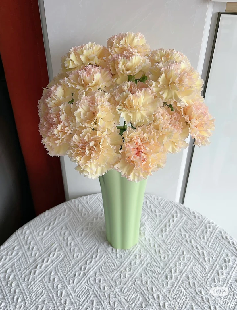 【香羿鲜花】可可西里康乃馨10支/全场任意两单及以上包邮