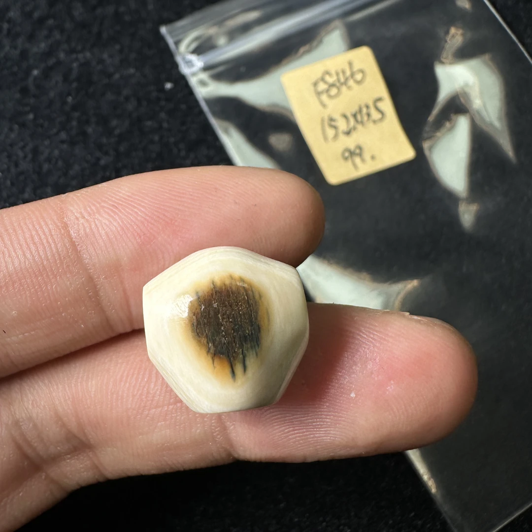 F846猛犸象牙对孔15.2*13.5mm鲨鱼背三通冰料果冻料