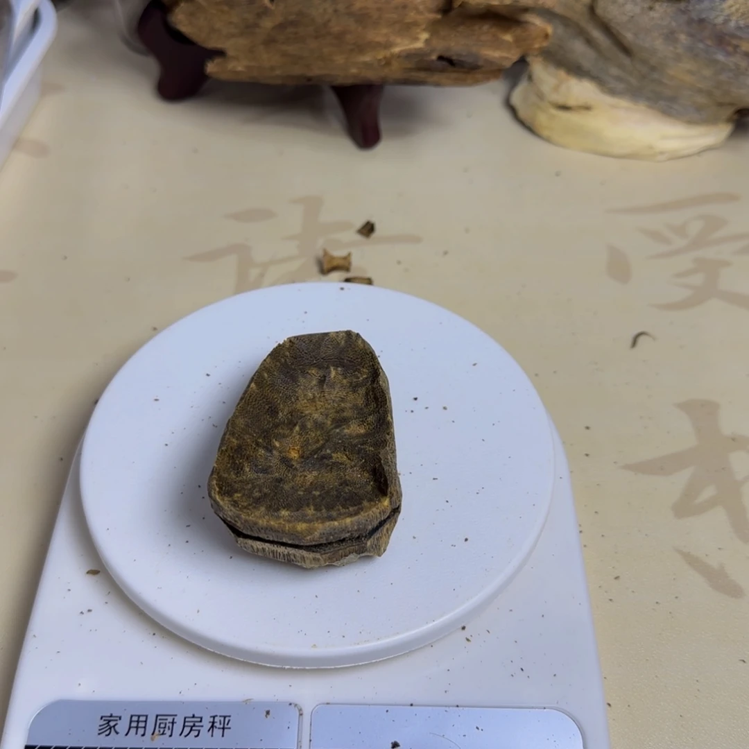 星***炎木锯合料  32  克