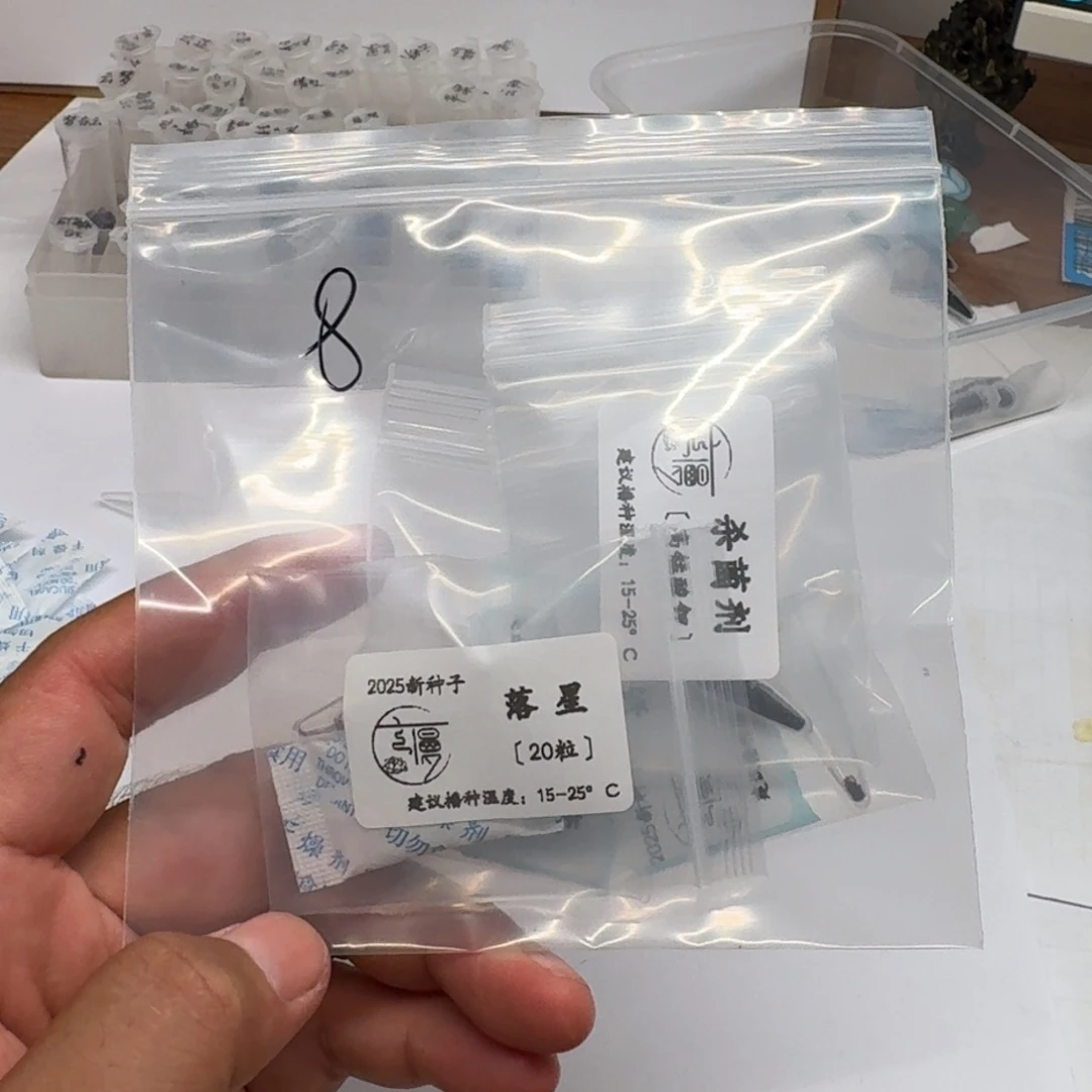 如图8号云慢花坊杂交多肉种子