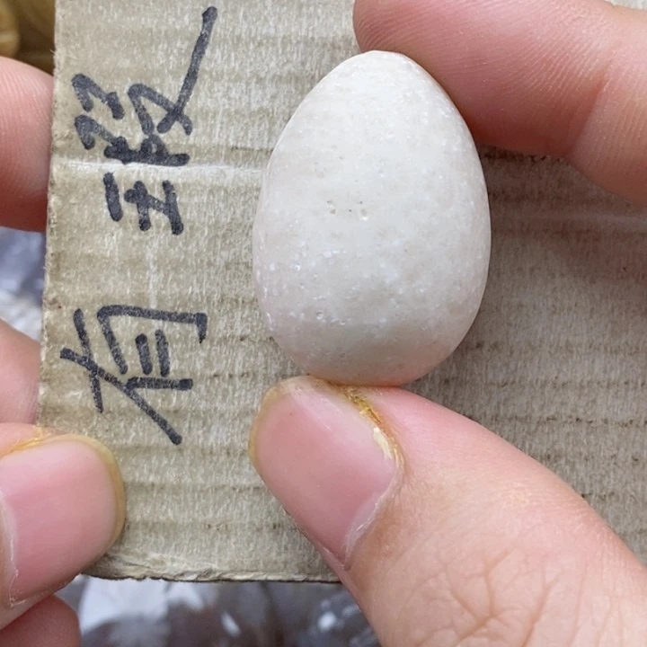 颈饰未镶嵌硅化珊瑚（珊瑚玉）独**?