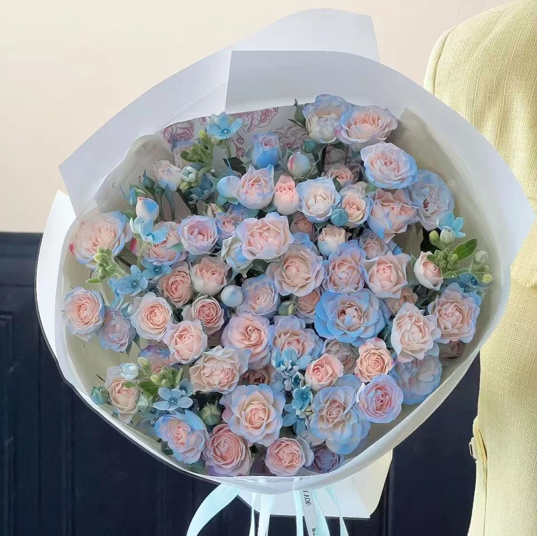 多头碎冰蓝玫瑰10枝 喷色多头玫瑰 收到需醒花 揽收后无法退款