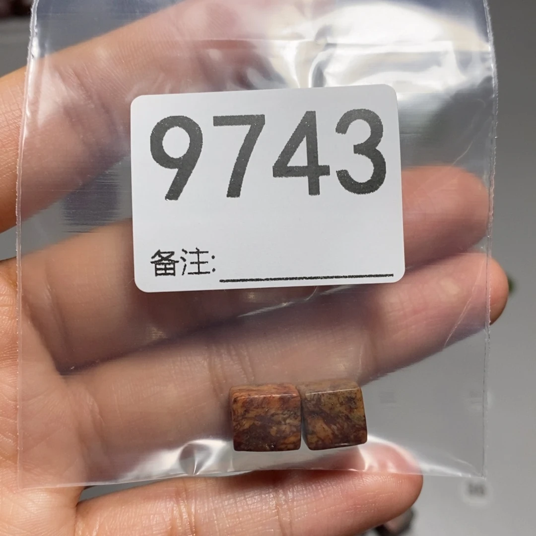 颈饰未镶嵌透闪石质玉英***事