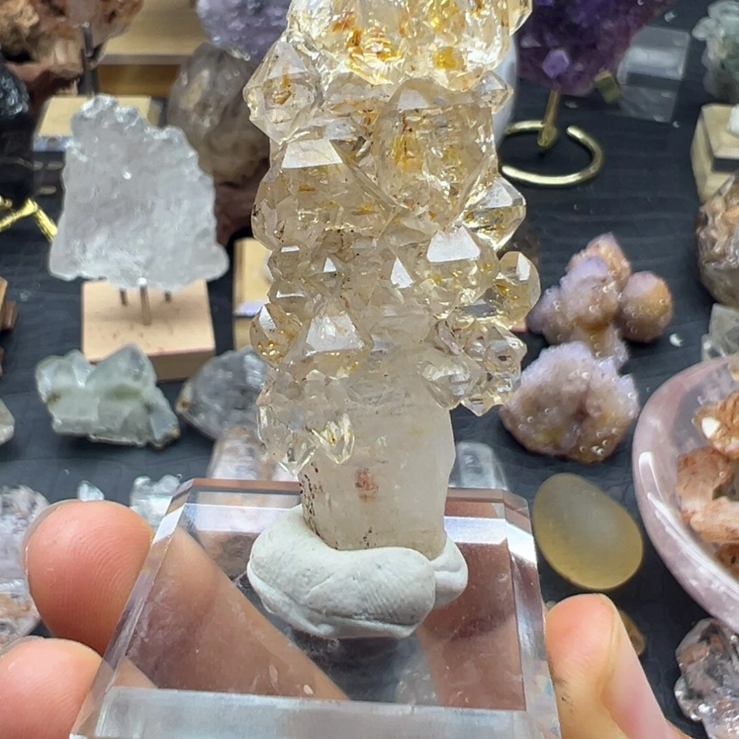 金****石材红泥小树满油骸骨