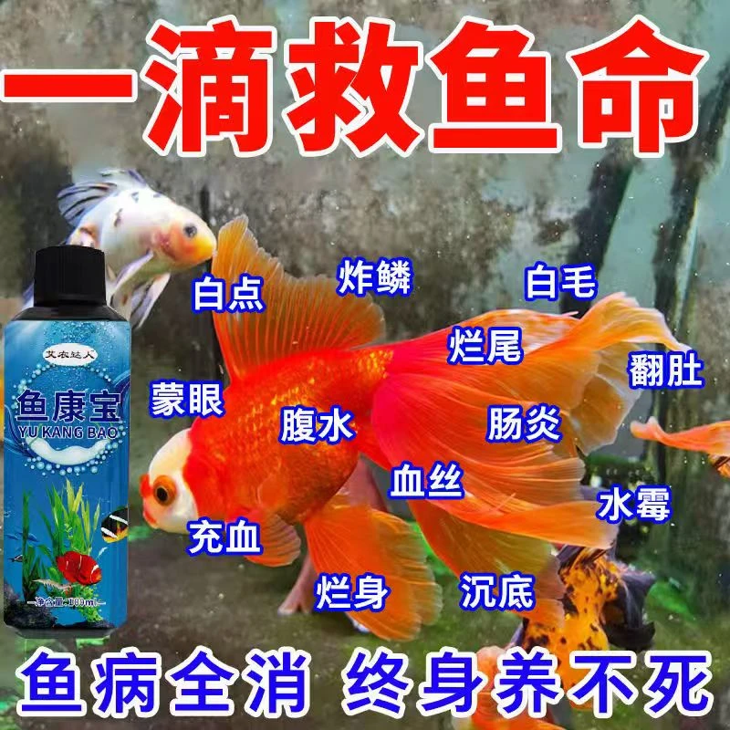 鱼康宝鱼药消毒液烂身烂尾白点白毛掉鳞专用