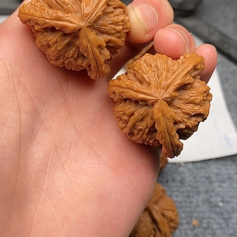 承****师白狮子11111441111111