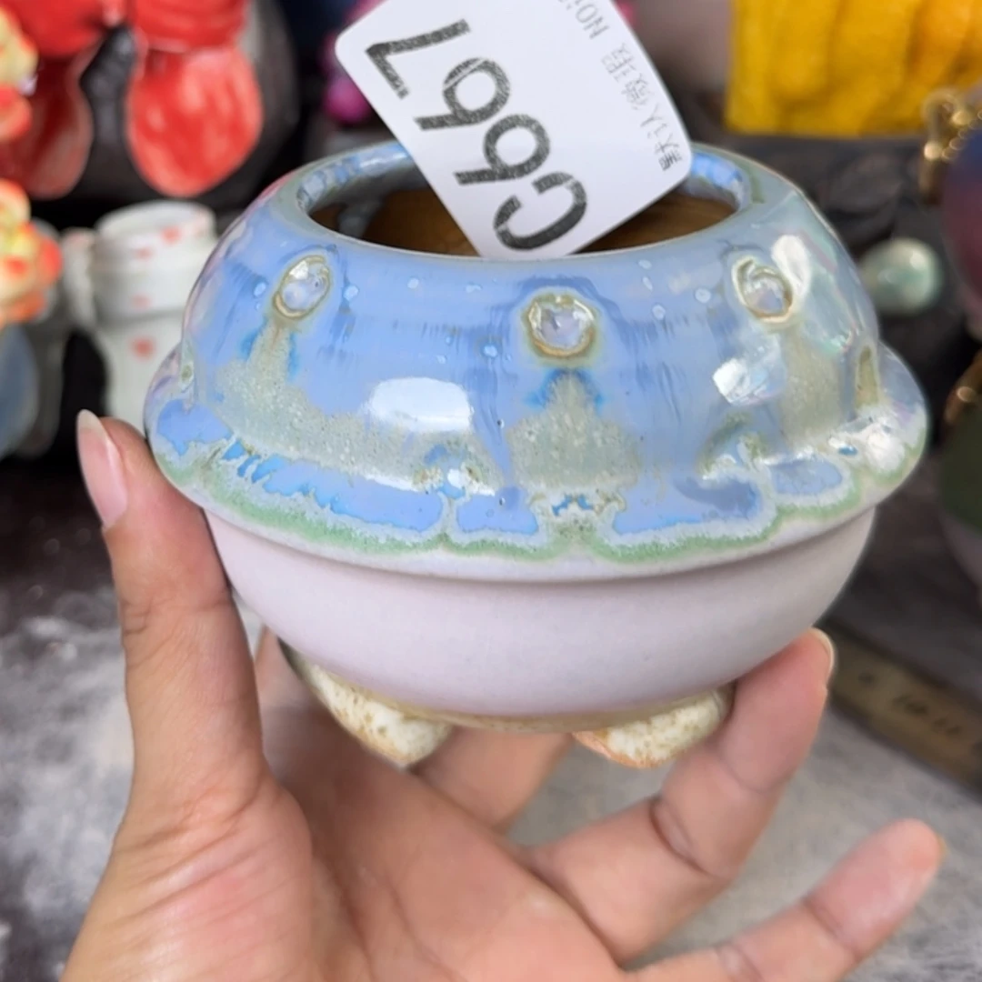 重庆小燕子欢迎那家。667