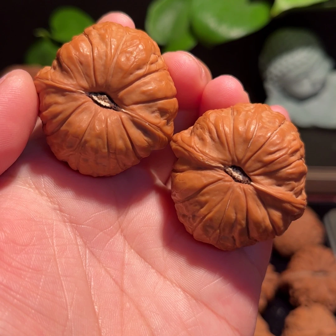 【闪购商品】文玩核桃把件40南瓜墩