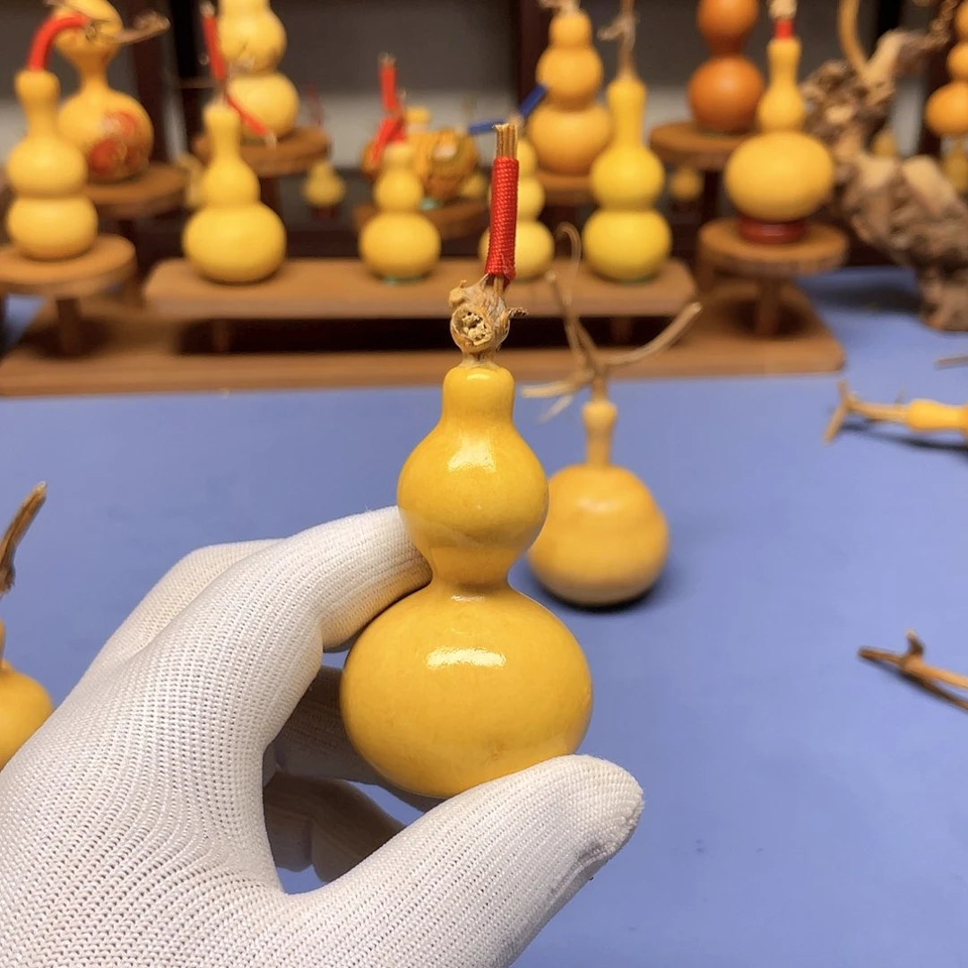 H*d葫芦根茶包邮到店内购买送精美礼物哦