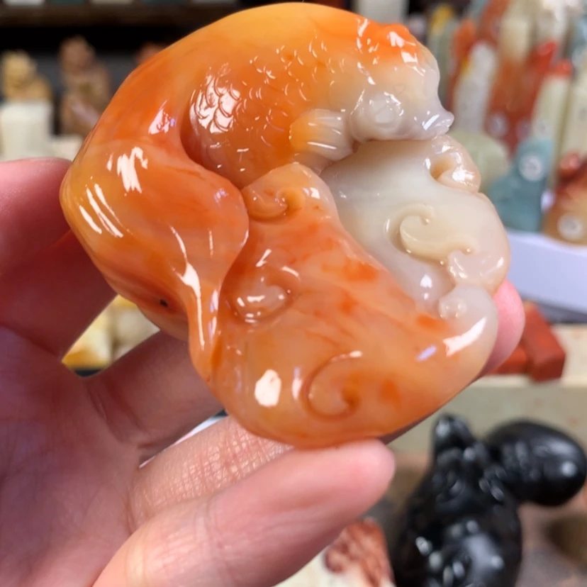 【闪购商品】老挝石老挝的金鱼