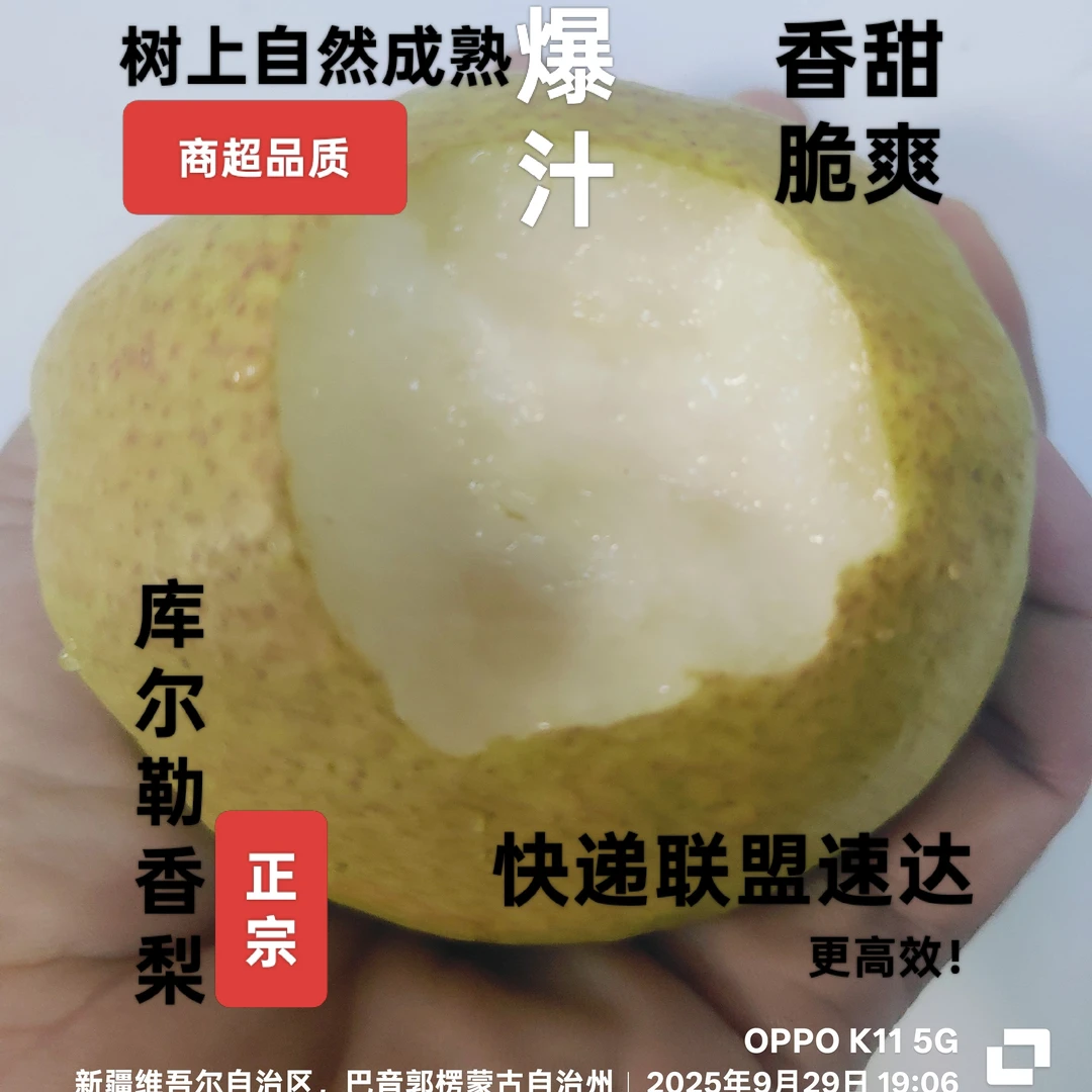 5斤装全国包邮库尔勒香梨礼盒装原产地沙依东产区直发