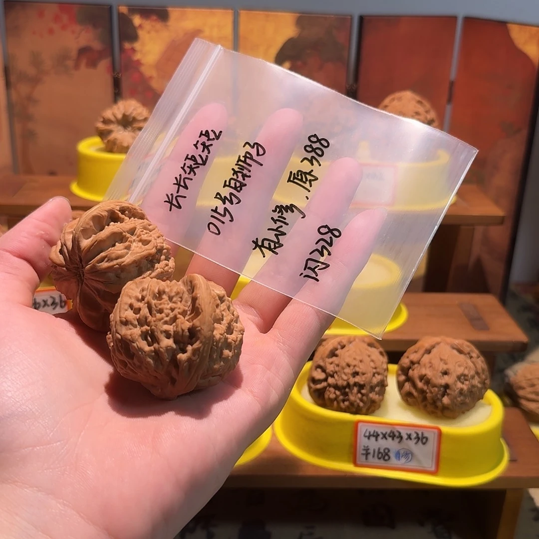 长***短45尺寸白狮子尖微微修饰