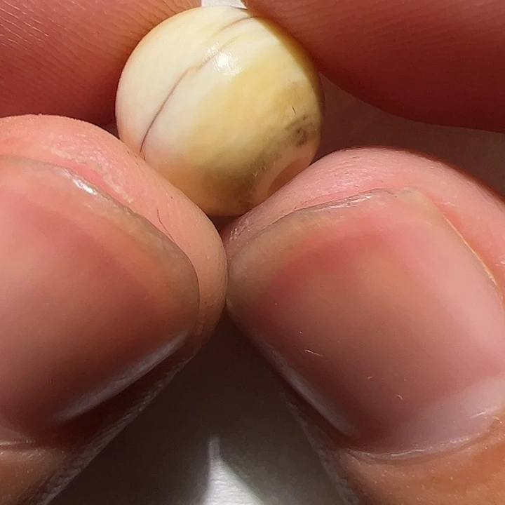 香榧木在这里的时候