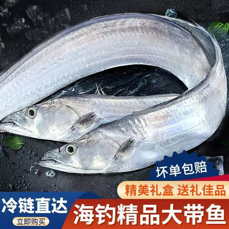 【全疆包邮】舟山带鱼皮薄肉厚 口感细腻盒子随机3.5公斤