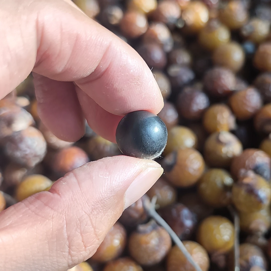 非金属木质手链 四川无患子近正圆无患子散籽半斤36