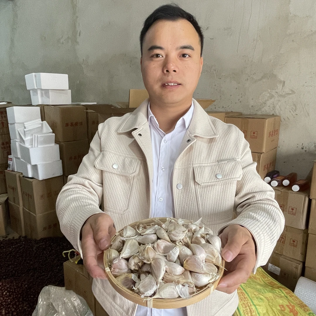 2025房县农家新大蒜无台蒜 可食用可种植（出蒜苗不出蒜台）