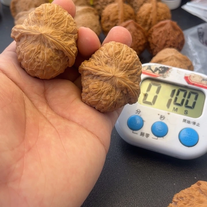 芝***兽骨质结构与生理功能