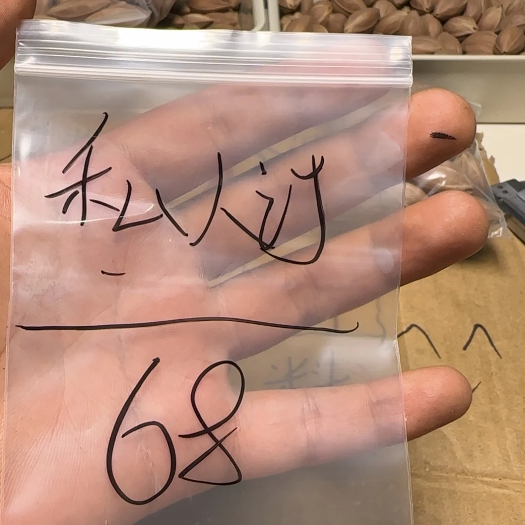 【闪购商品】橄榄核手串/手链私****ν1111111