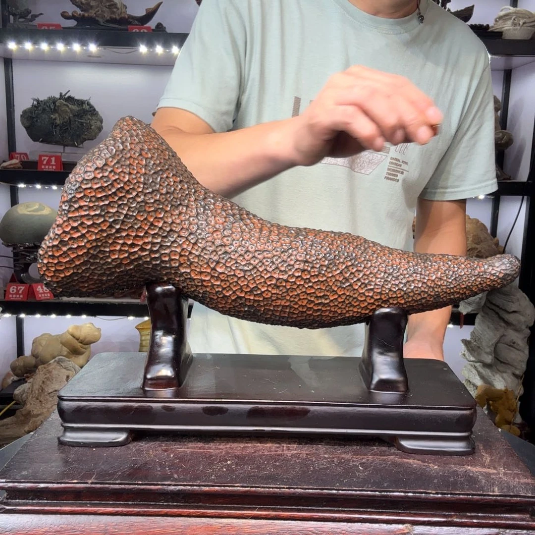 帕***巴蜂窝石的原石奇石