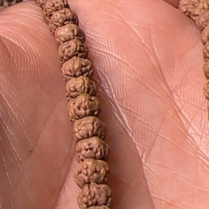 金刚菩提手串5➕佛手小金刚