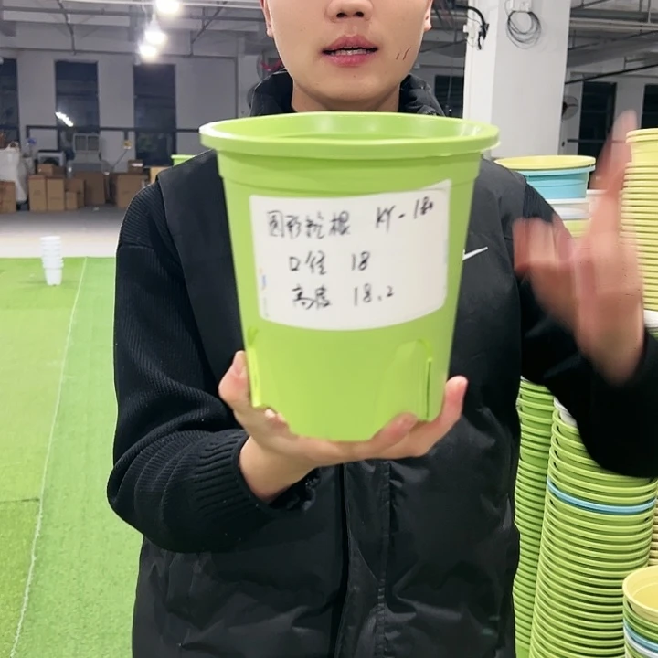 正品圆控口18高18果绿色8只无托